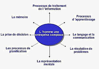 homme est une 'entreprise' complexe